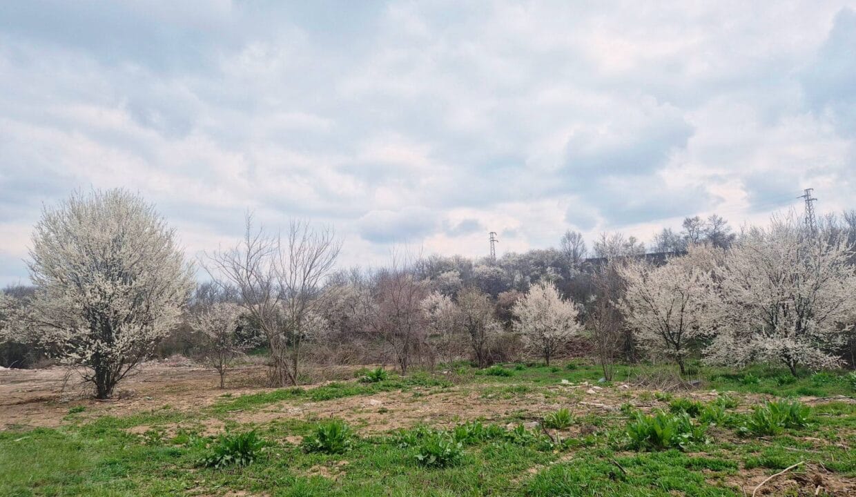 661682658_1352478890233227_8249336821812414936_n