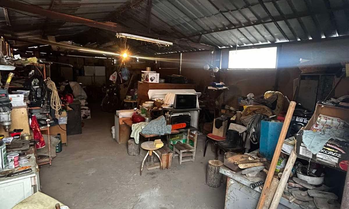 viber_image_2026-01-21_12-06-43-220