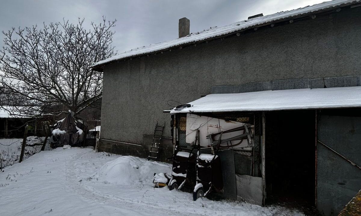 viber_image_2026-01-21_12-06-43-449