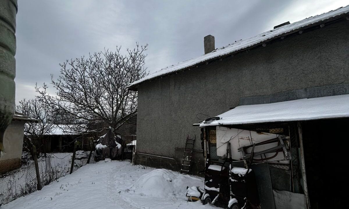 viber_image_2026-01-21_12-06-44-132