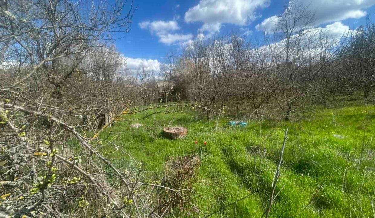 viber_image_2026-04-08_15-26-38-654