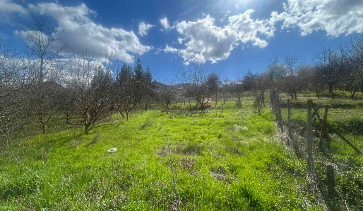 viber_image_2026-04-08_15-26-39-660